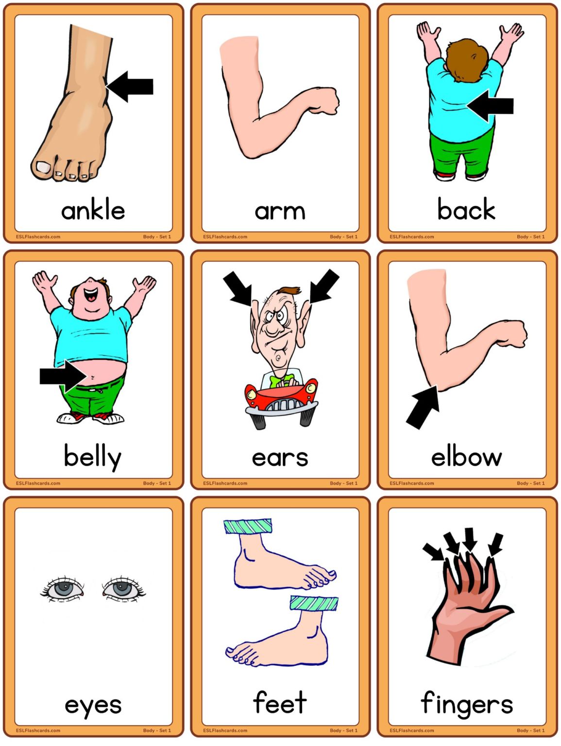 Body Part Flashcards Printable
