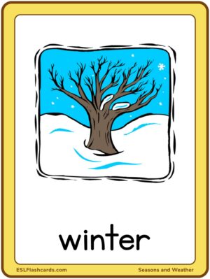 Preview of Images with labels, Large