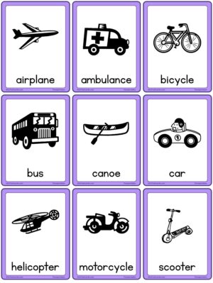 Transportation