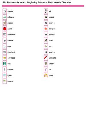 Preview of Checklist, Short A-E-I-O-U