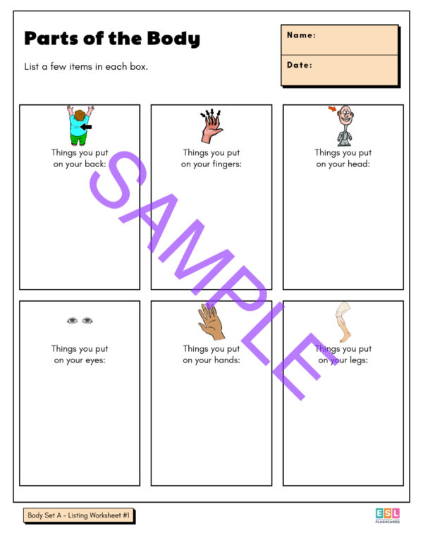 Worksheet Package #3: Nouns - Image 4