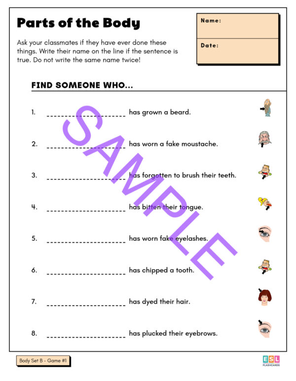 Worksheet Package #3: Nouns - Image 5