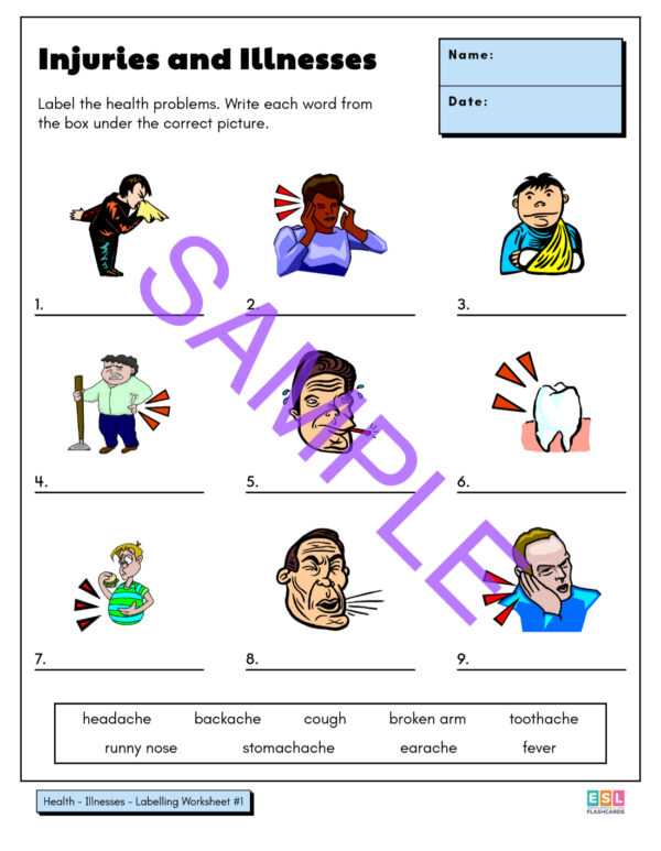 Worksheet Package #3: Nouns - Image 10